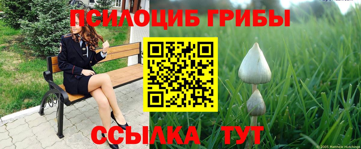 Псилоцибиновые грибы MAGIC MUSHROOMS Похвистнево