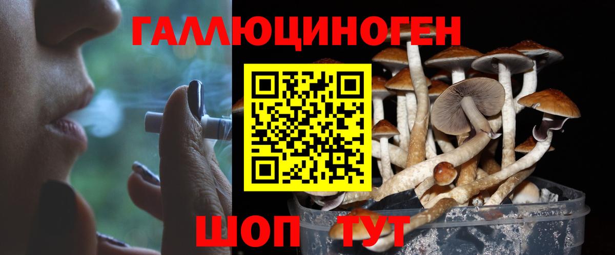 Псилоцибиновые грибы Psilocybine cubensis  Галлюциногенные грибы Psilocybine cubensis  Похвистнево  Вход с VPN 